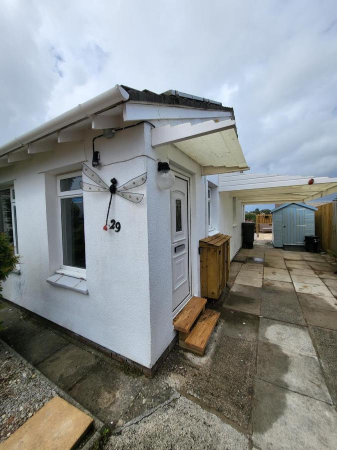A Great Place For You And Your Dog To Stay Falmouth Bagian luar foto