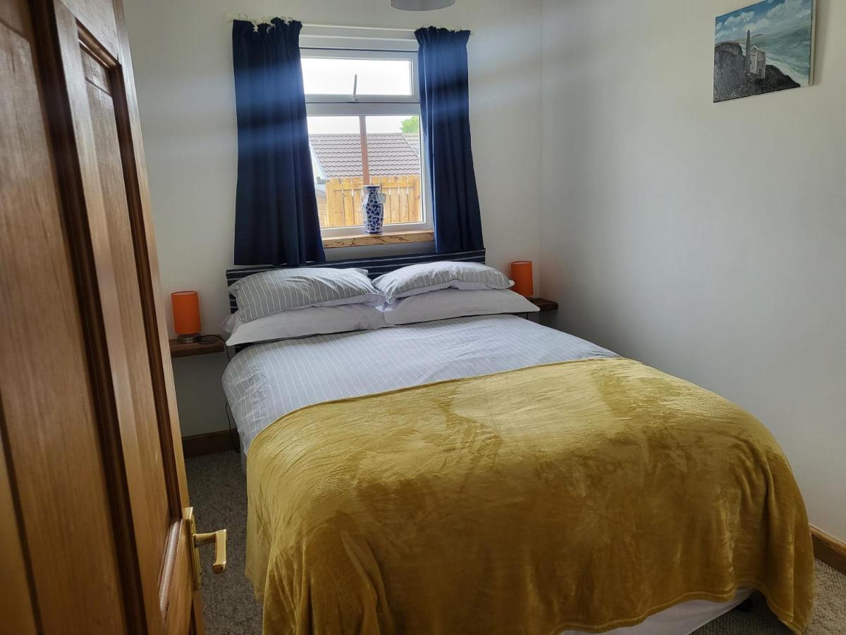 A Great Place For You And Your Dog To Stay Falmouth Bagian luar foto